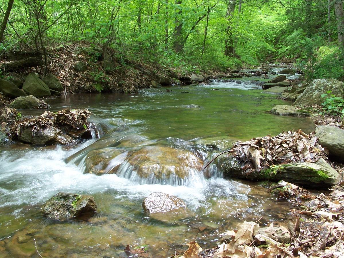 Cabin Creekwood Lyndhurst ภายนอก รูปภาพ
