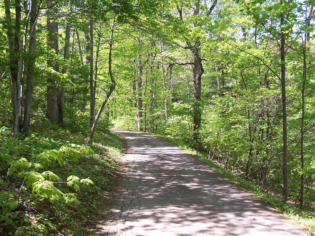 Cabin Creekwood Lyndhurst ภายนอก รูปภาพ