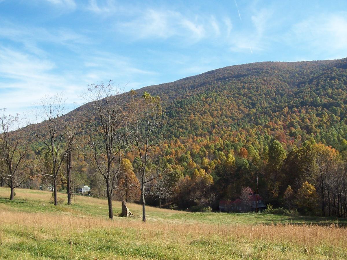 Cabin Creekwood Lyndhurst ภายนอก รูปภาพ